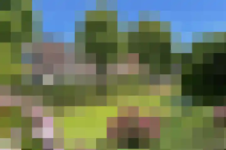 Schwerinkade 46 Den Haag thumbnail 32