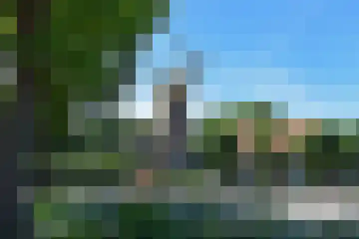 Schwerinkade 46 Den Haag thumbnail 35