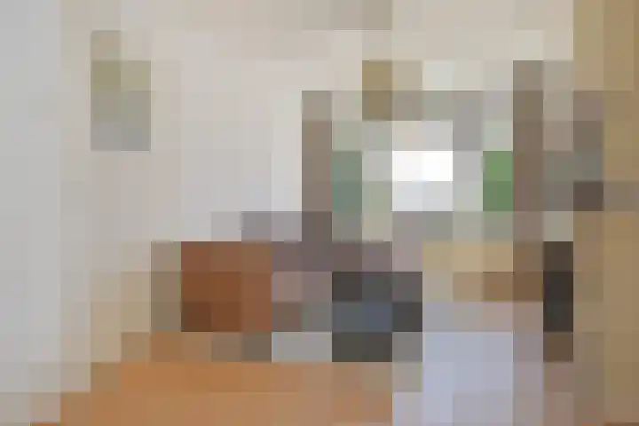 Schwerinkade 46 Den Haag thumbnail 41