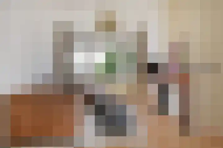 Schwerinkade 46 Den Haag thumbnail 7