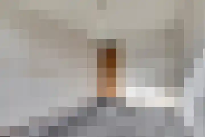 Scorpius 14 Loon op Zand thumbnail 22