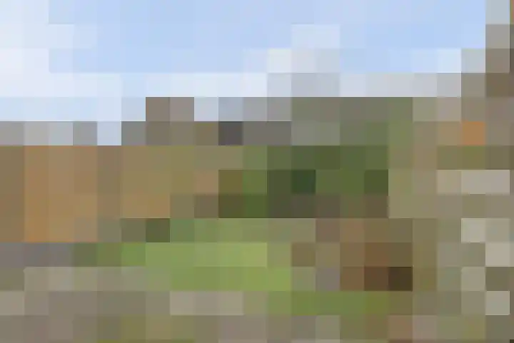 Scorpius 14 Loon op Zand thumbnail 31