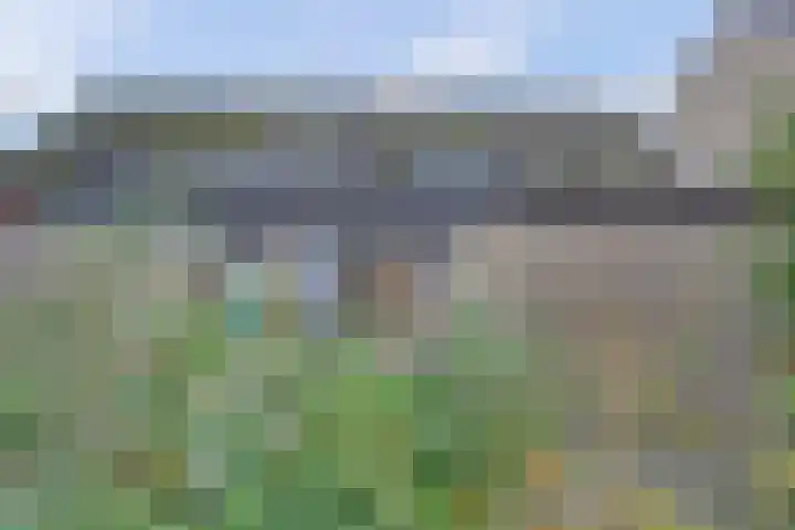 Scorpius 14 Loon op Zand thumbnail 32