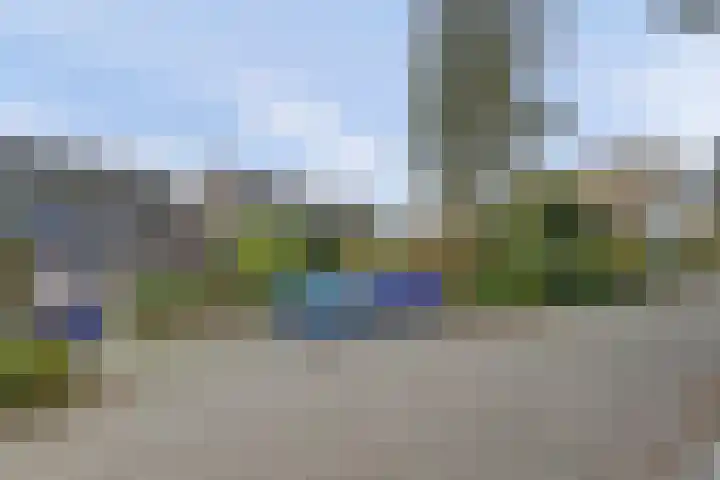 Scorpius 14 Loon op Zand thumbnail 34