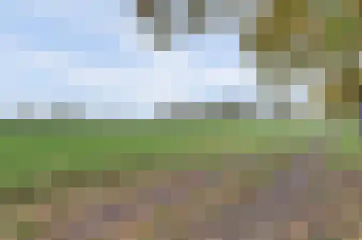 Scorpius 14 Loon op Zand thumbnail 36