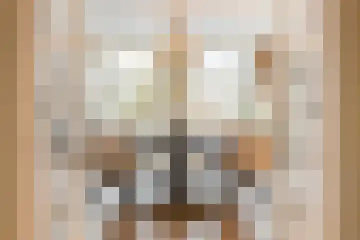 Scottlaan 106 Eindhoven thumbnail 11
