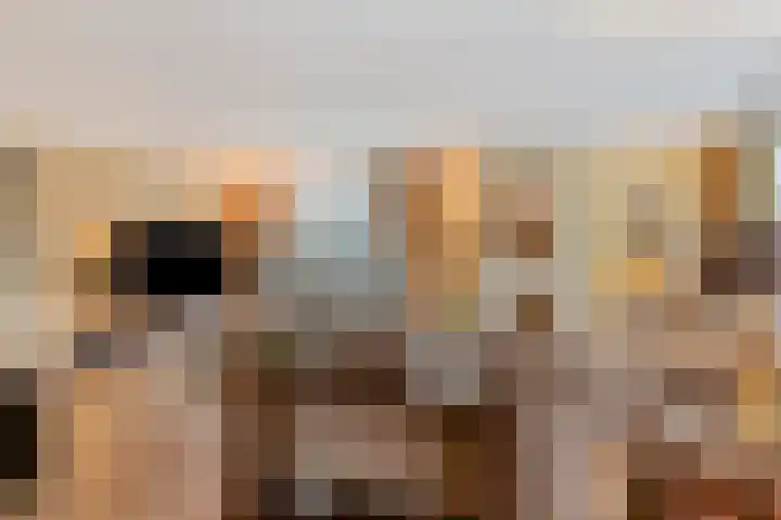 Scottlaan 106 Eindhoven thumbnail 14