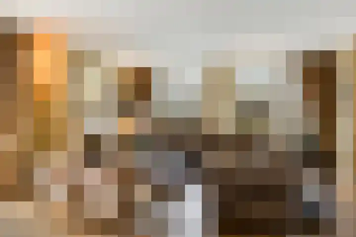 Scottlaan 106 Eindhoven thumbnail 16