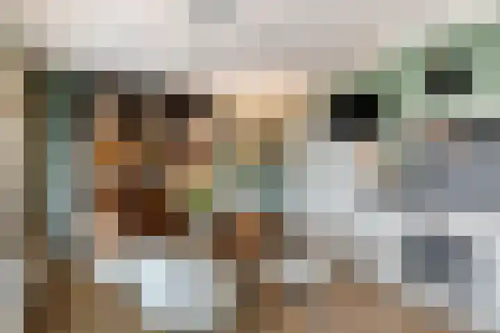 Scottlaan 106 Eindhoven thumbnail 22