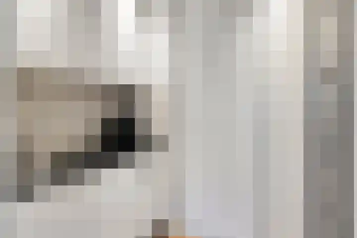 Scottlaan 106 Eindhoven thumbnail 25