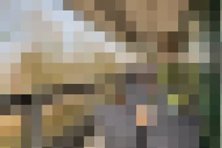 Scottlaan 106 Eindhoven thumbnail 27