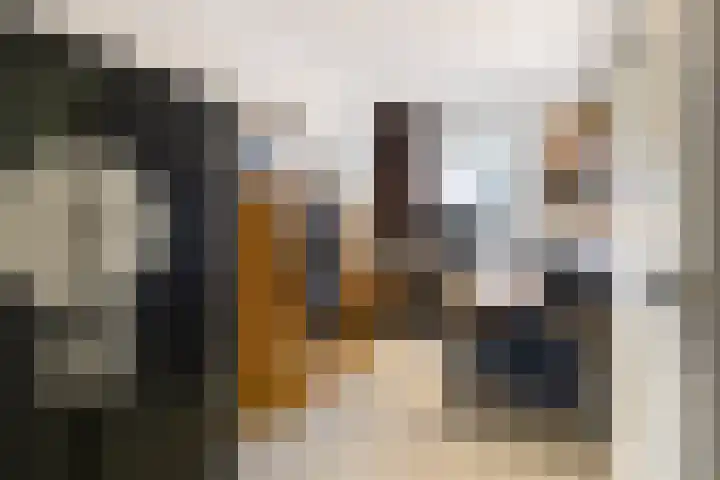 Scottlaan 106 Eindhoven thumbnail 36