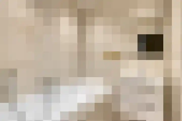 Scottlaan 106 Eindhoven thumbnail 37