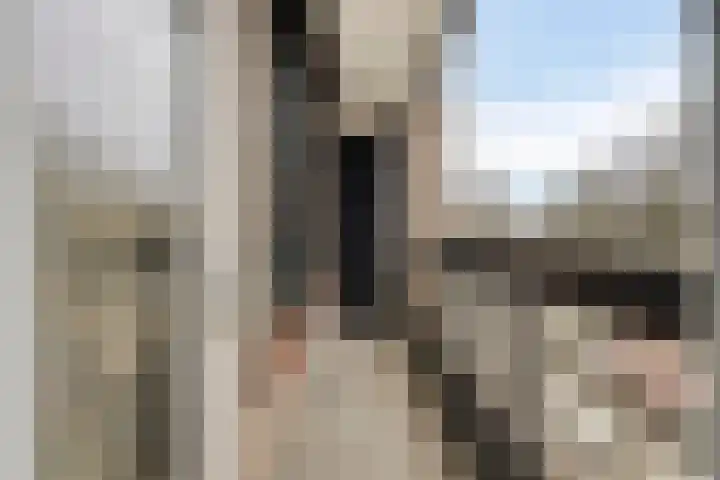 Scottlaan 106 Eindhoven thumbnail 39