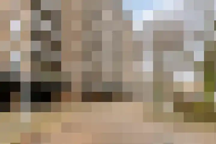Scottlaan 106 Eindhoven thumbnail 45