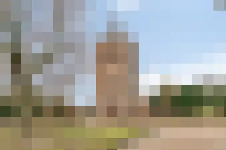 Scottlaan 106 Eindhoven thumbnail 46