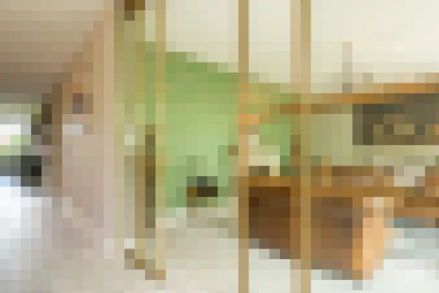 Scottlaan 112 Eindhoven thumbnail 40