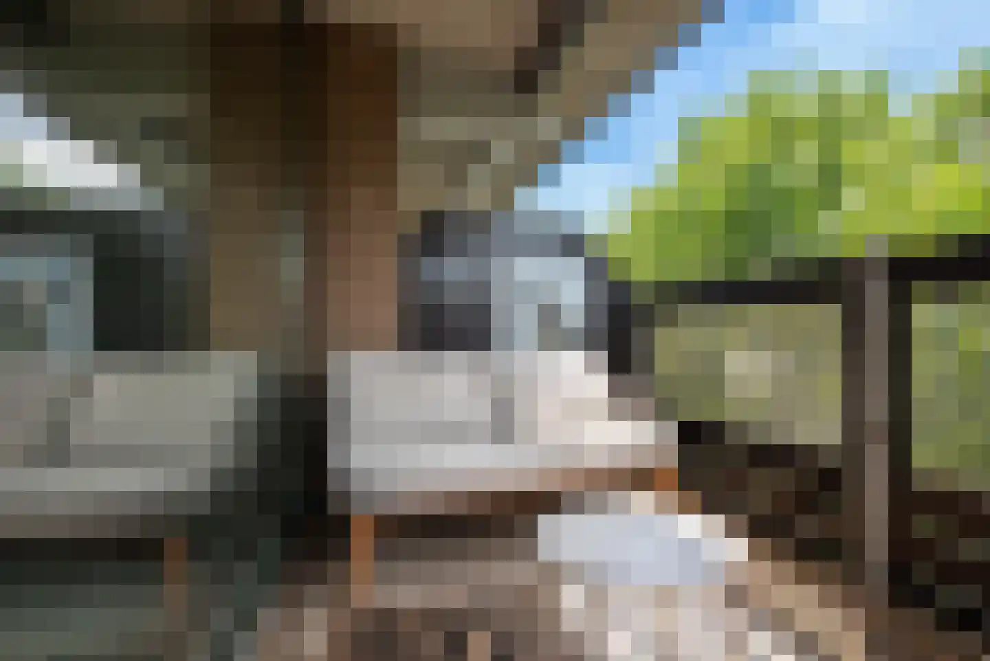 Scottlaan 112 Eindhoven thumbnail 49