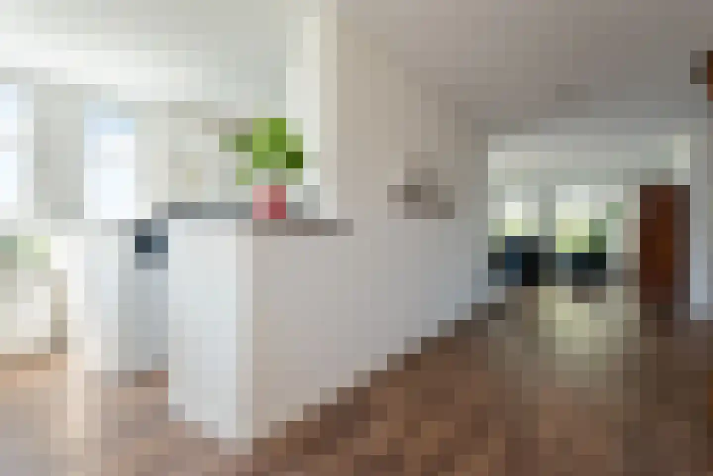 Scottlaan 114 Eindhoven thumbnail 30