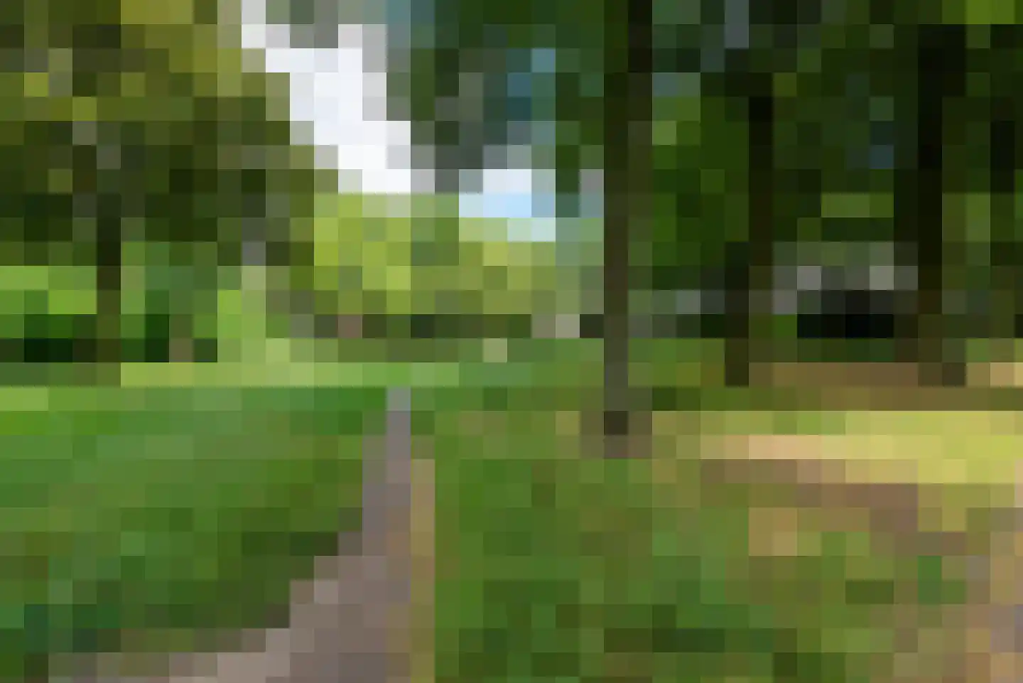 Scottlaan 114 Eindhoven thumbnail 65