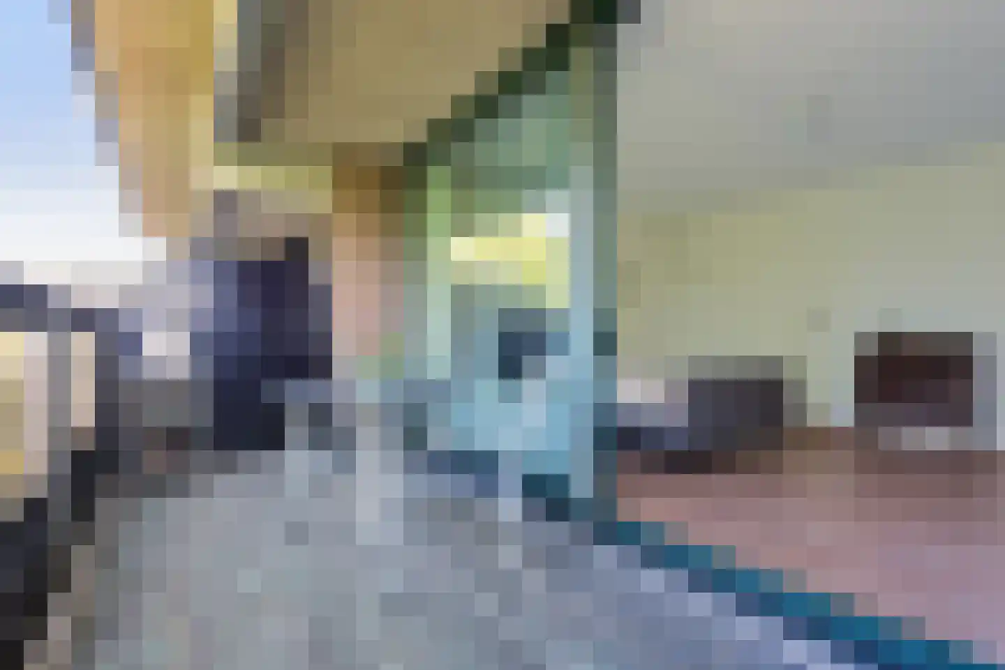 Scottlaan 114 Eindhoven thumbnail 69
