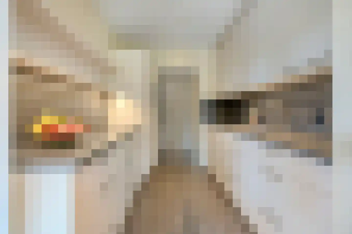 Scottlaan 202 Eindhoven thumbnail 24