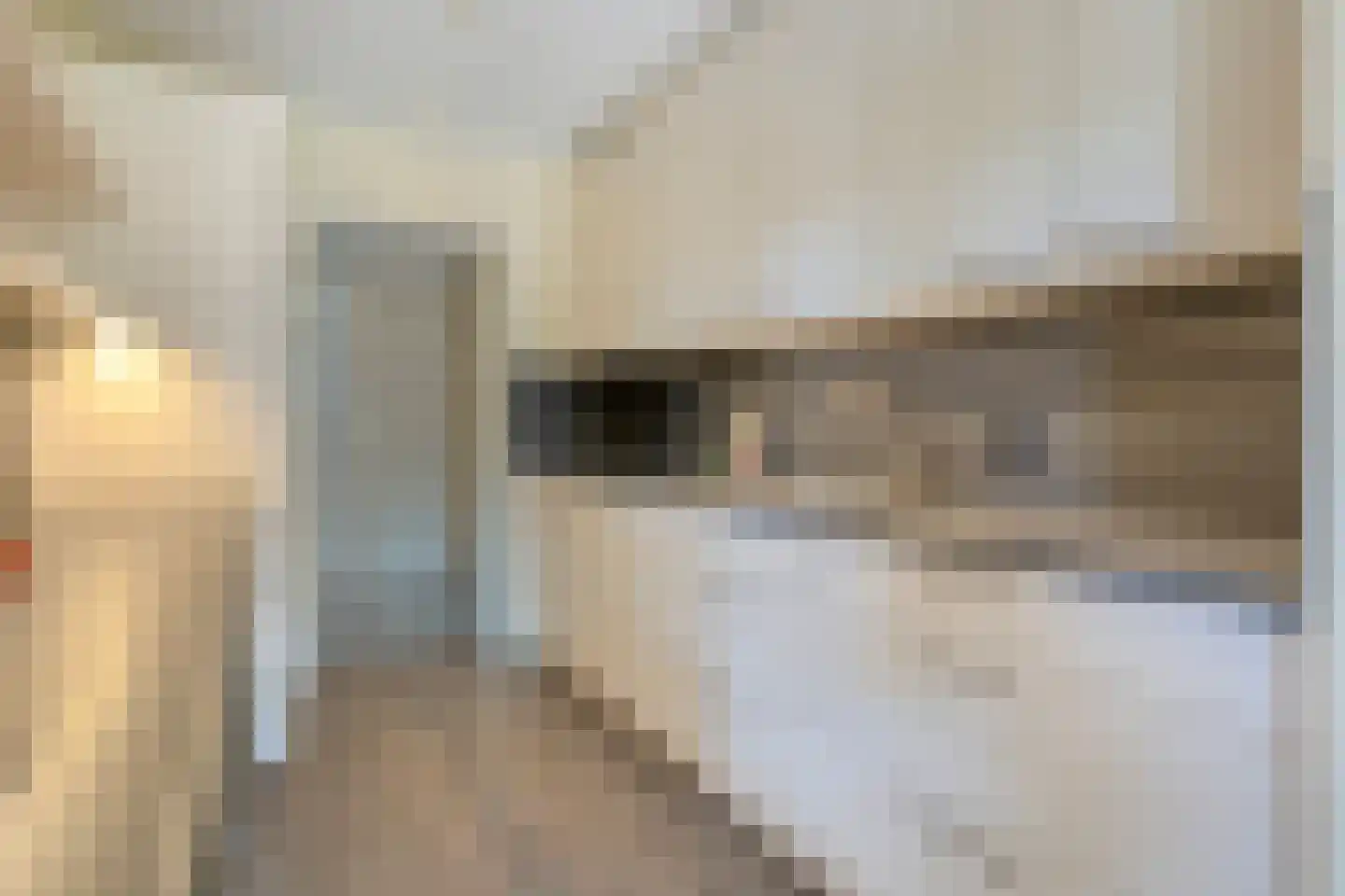 Scottlaan 202 Eindhoven thumbnail 25