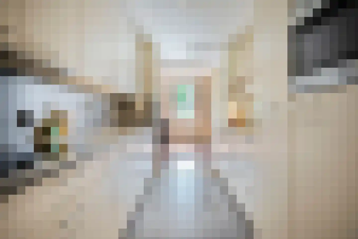 Scottlaan 202 Eindhoven thumbnail 28