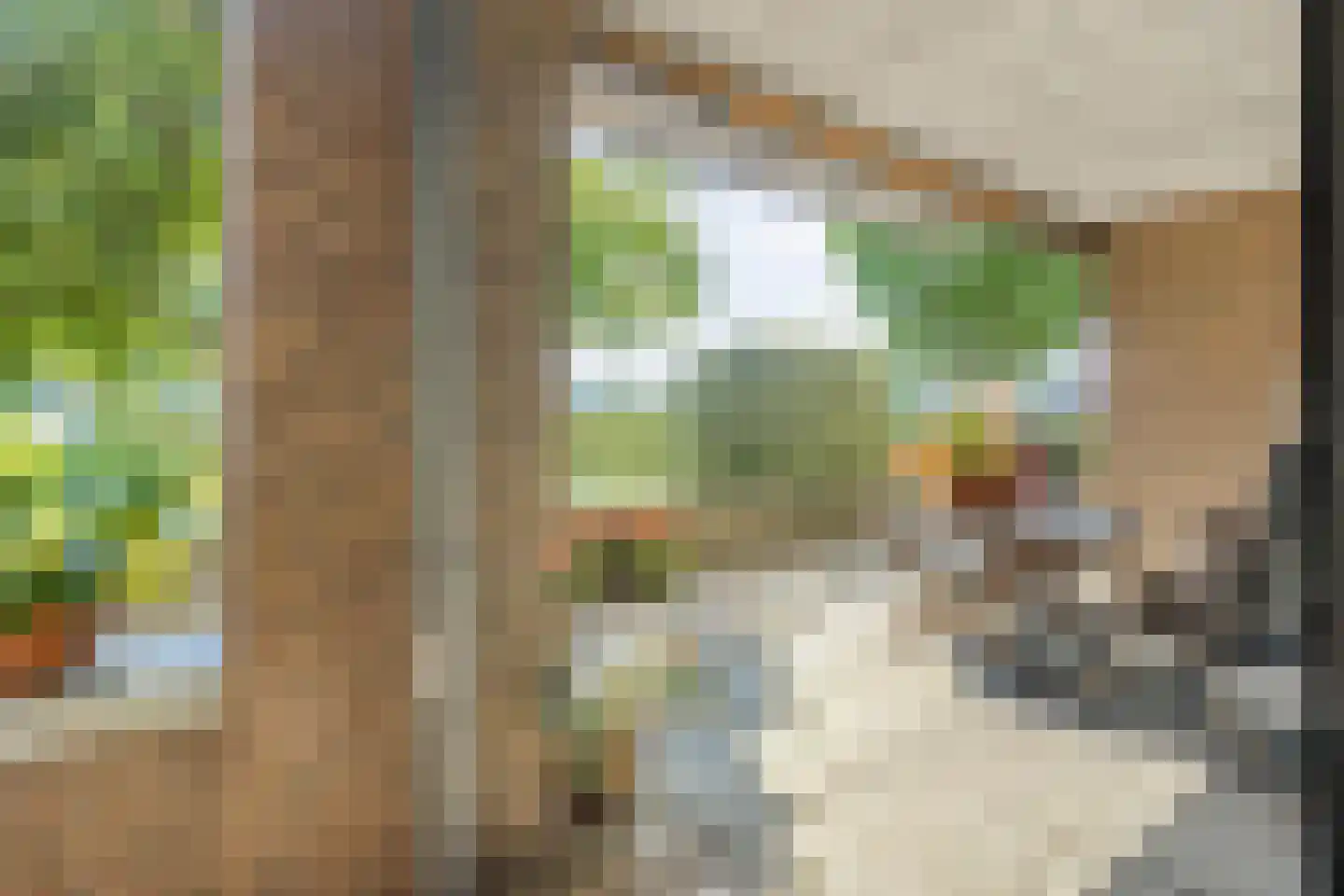 Scottlaan 202 Eindhoven thumbnail 47