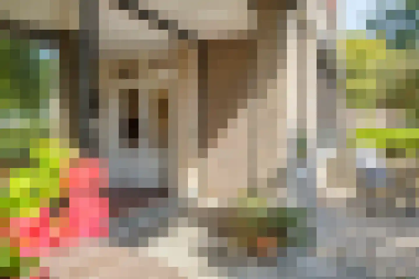 Scottlaan 202 Eindhoven thumbnail 48
