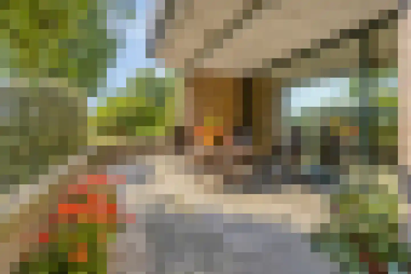 Scottlaan 202 Eindhoven thumbnail 49