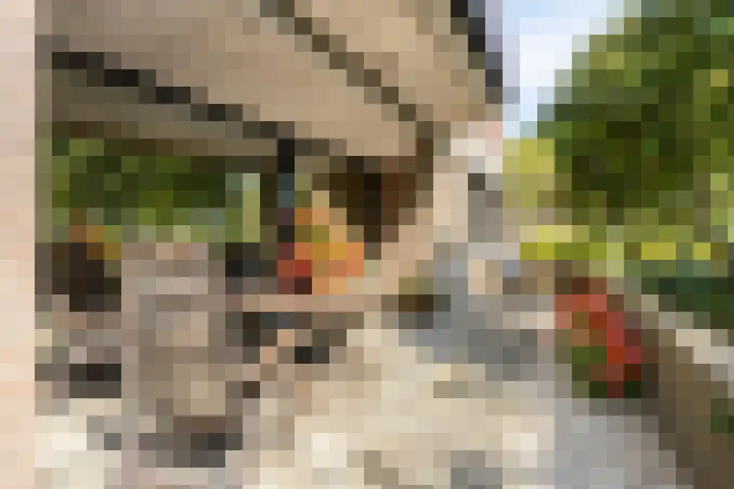 Scottlaan 202 Eindhoven thumbnail 5