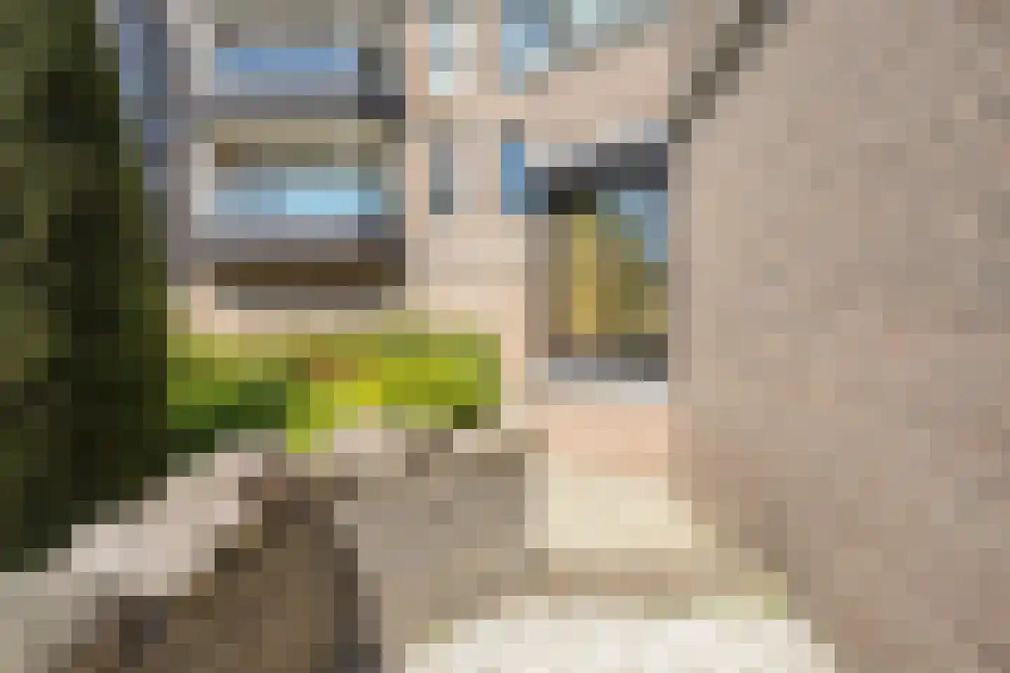 Scottlaan 202 Eindhoven thumbnail 52