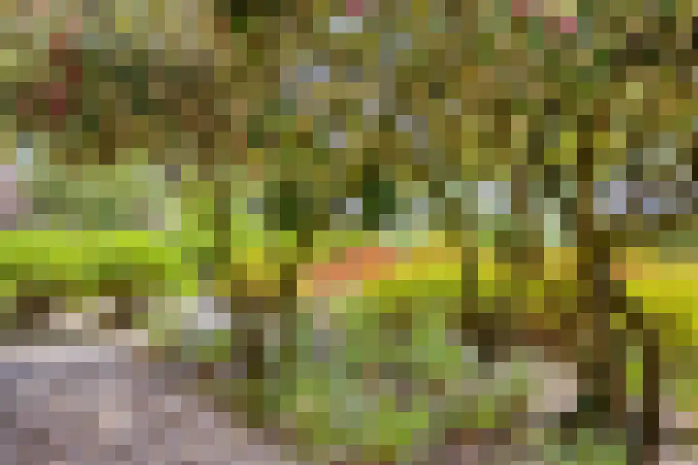 Scottlaan 202 Eindhoven thumbnail 53
