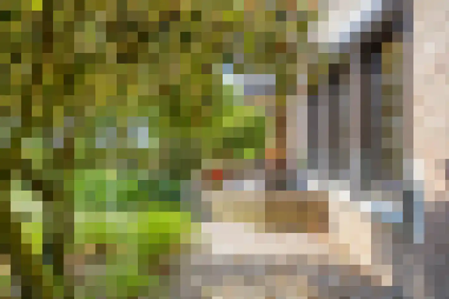 Scottlaan 202 Eindhoven thumbnail 54