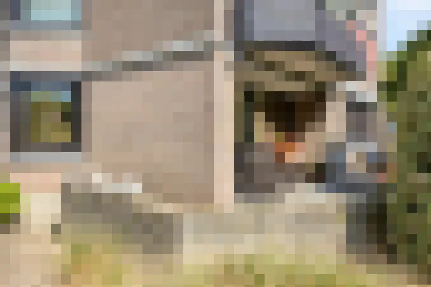 Scottlaan 202 Eindhoven thumbnail 55