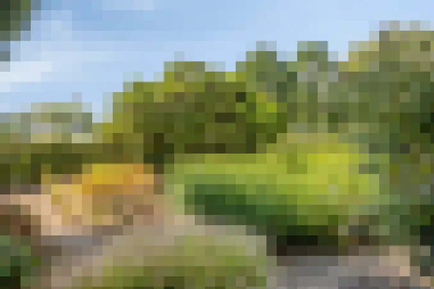 Scottlaan 202 Eindhoven thumbnail 56