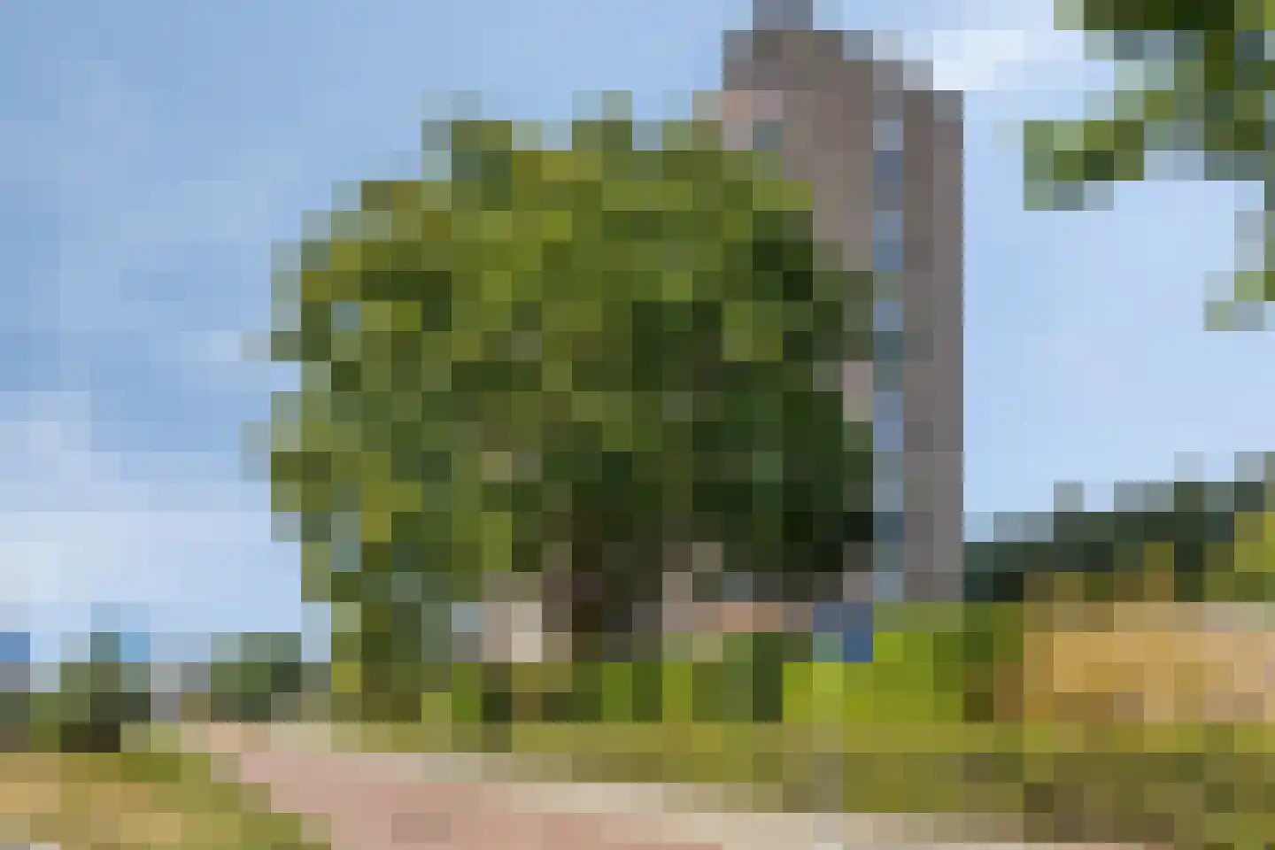 Scottlaan 202 Eindhoven thumbnail 62