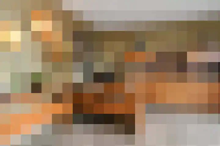 Scottlaan 218 Eindhoven thumbnail 15