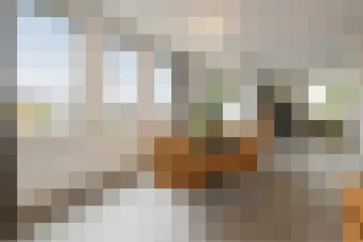 Scottlaan 218 Eindhoven thumbnail 16