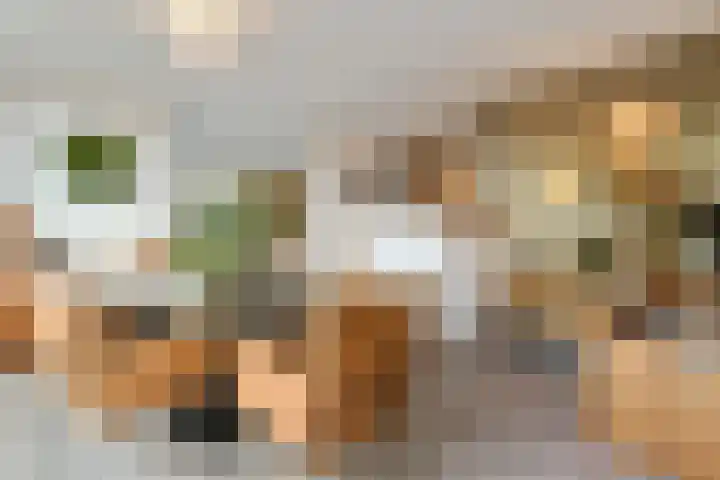 Scottlaan 218 Eindhoven thumbnail 17
