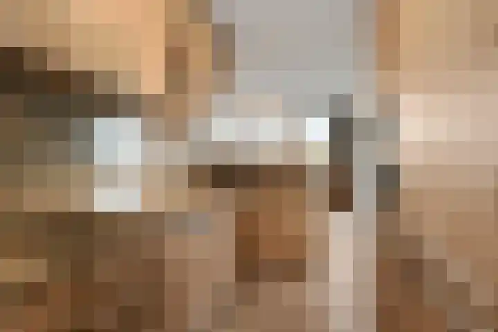 Scottlaan 218 Eindhoven thumbnail 18