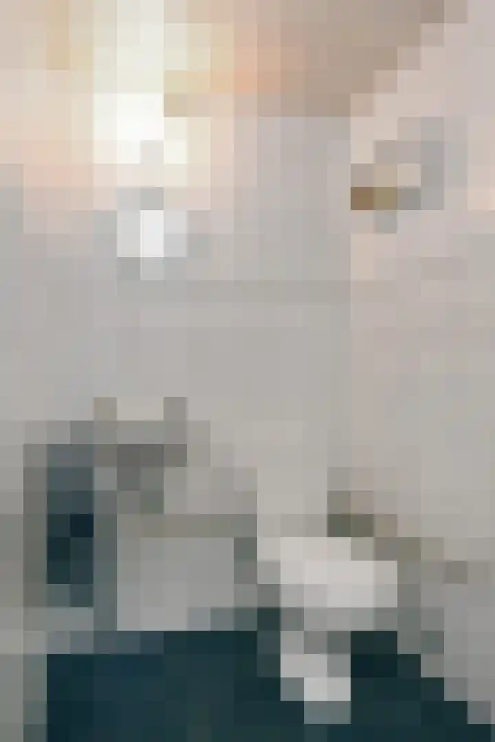 Scottlaan 218 Eindhoven thumbnail 21
