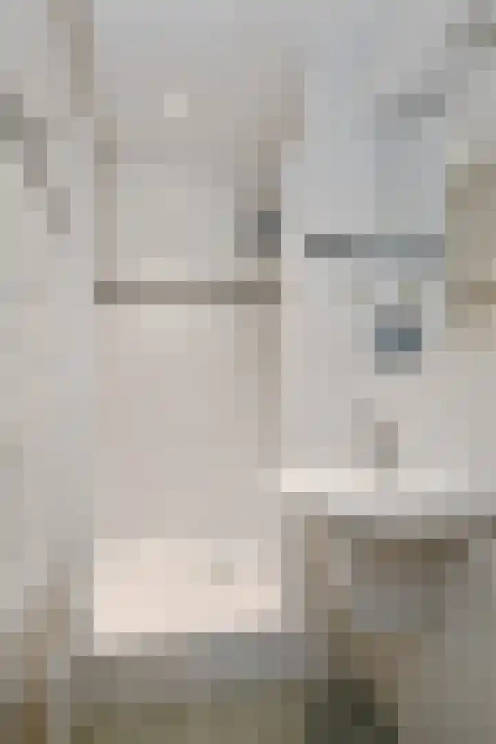 Scottlaan 218 Eindhoven thumbnail 22