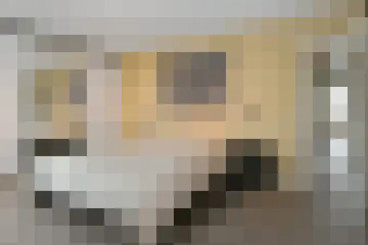 Scottlaan 218 Eindhoven thumbnail 23