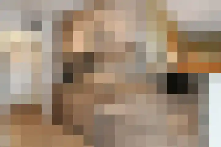 Scottlaan 218 Eindhoven thumbnail 4