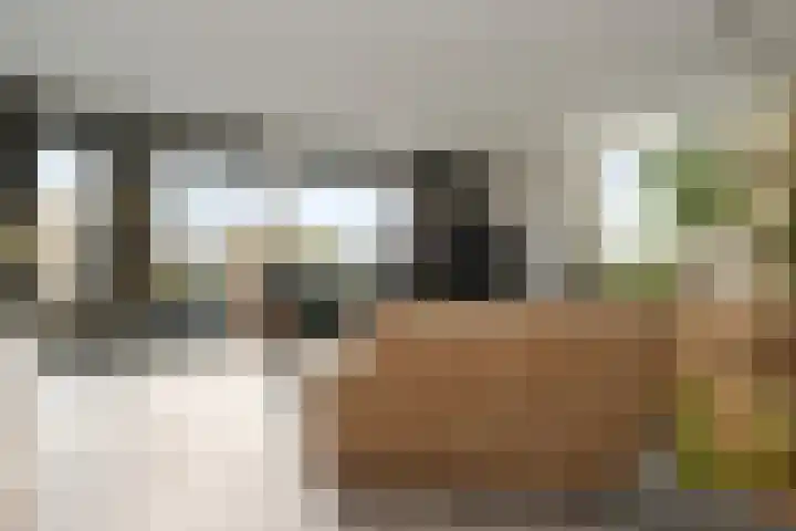 Scottlaan 218 Eindhoven thumbnail 7