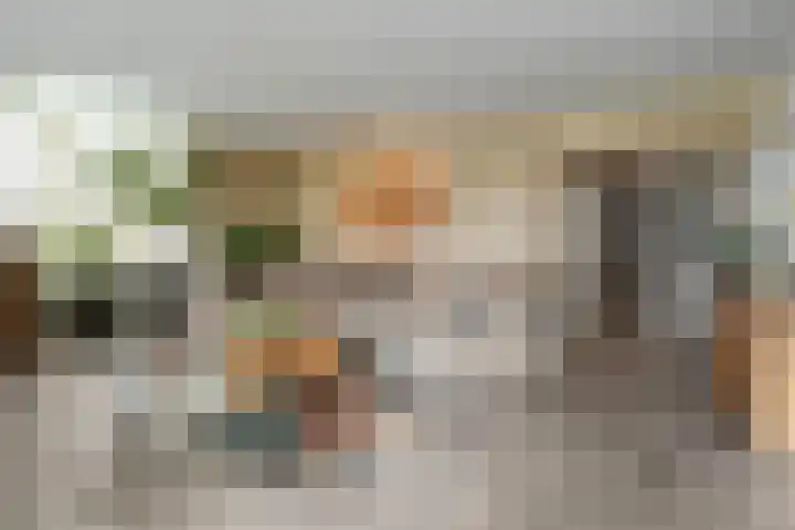 Scottlaan 218 Eindhoven thumbnail 8