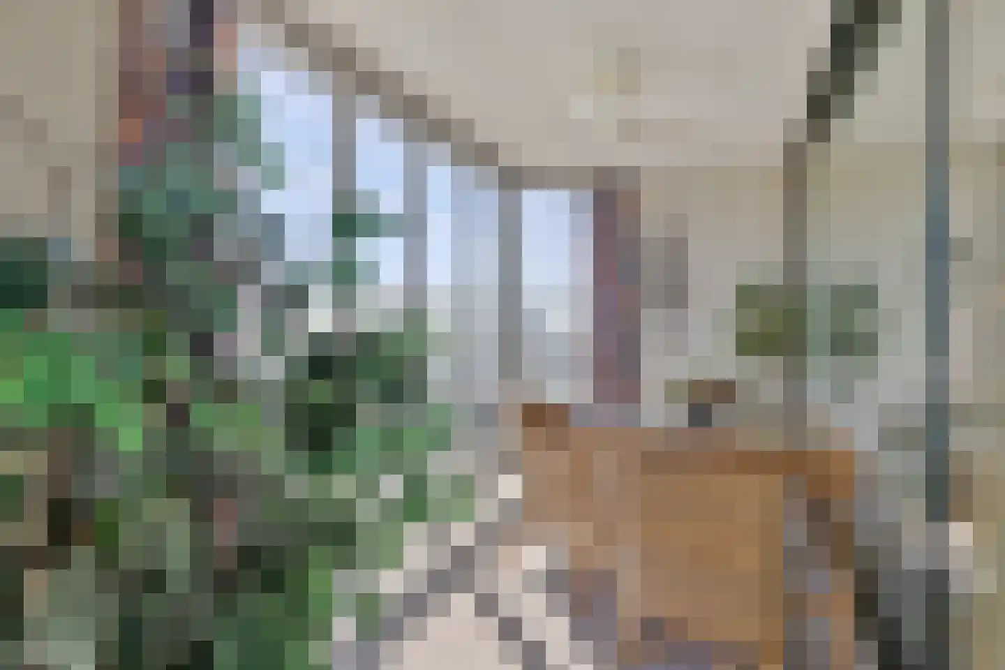 Scottlaan 236 Eindhoven thumbnail 21