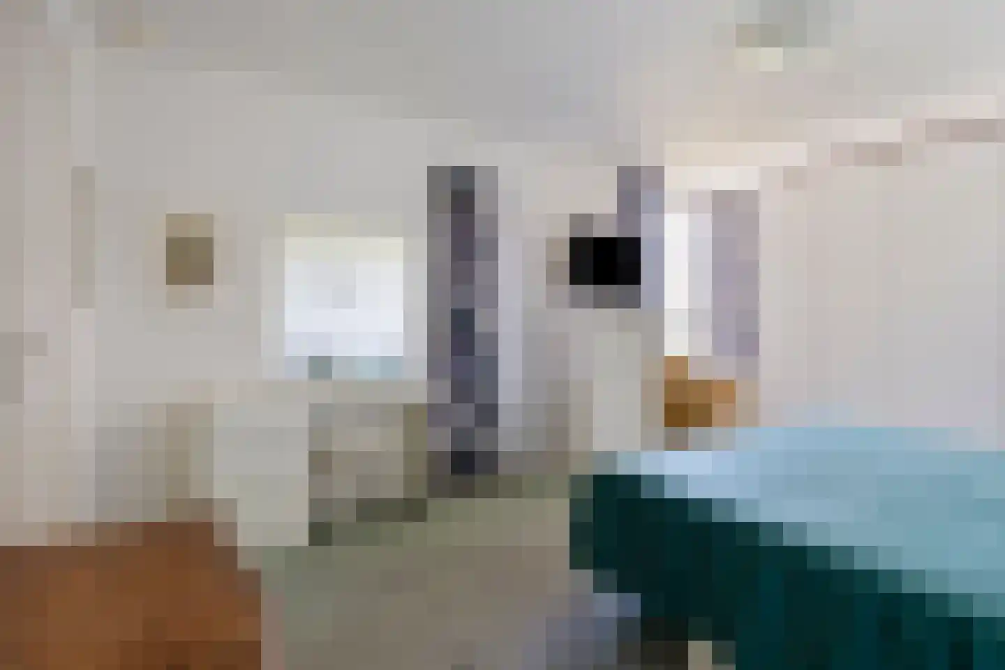 Scottlaan 236 Eindhoven thumbnail 40